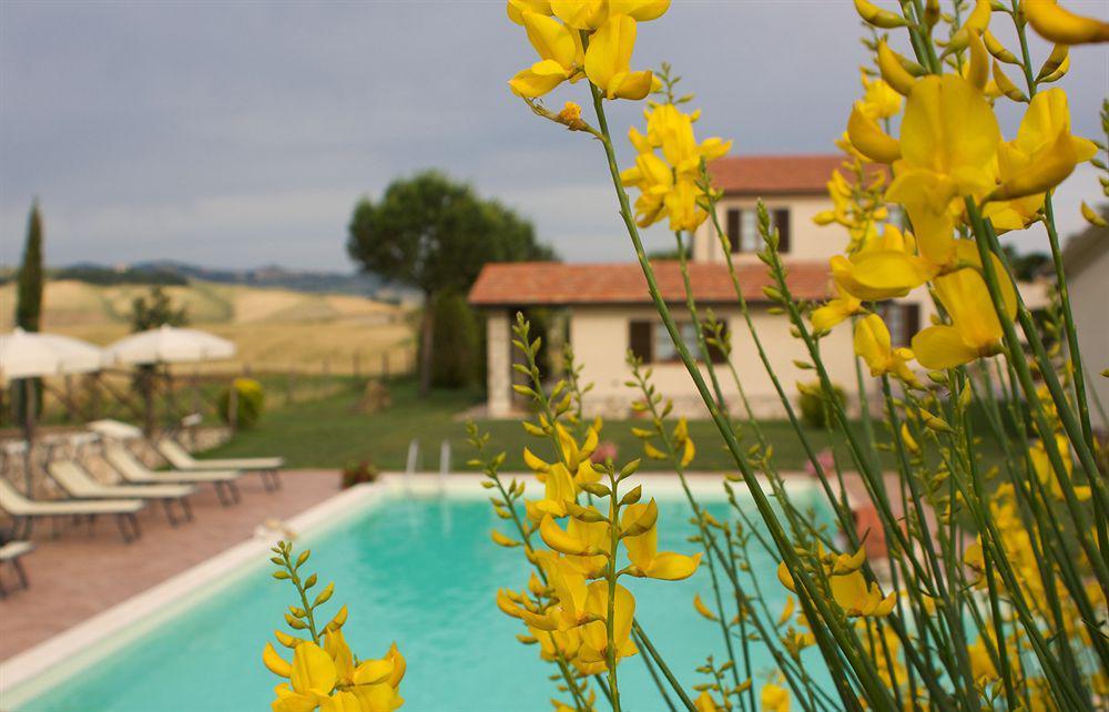 Maison d'hôtes Agriturismo Sant' Ansano à Castiglione dʼOrcia Extérieur photo